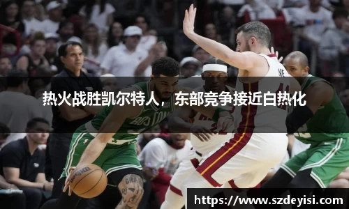 热火战胜凯尔特人，东部竞争接近白热化