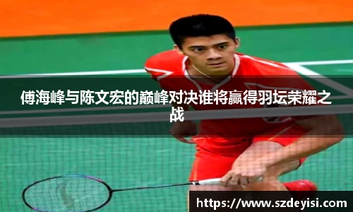 傅海峰与陈文宏的巅峰对决谁将赢得羽坛荣耀之战